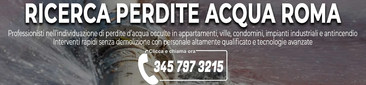 Banner Ricerca Perdite Acqua a Roma
